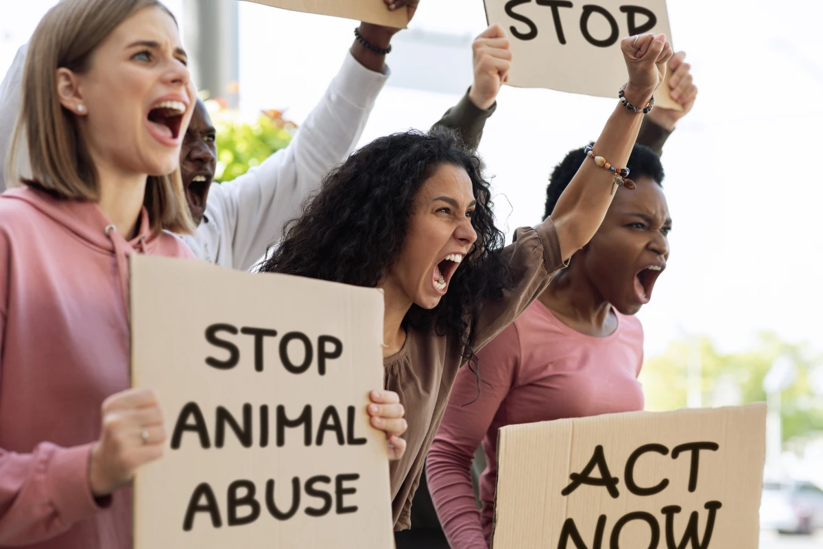 Le Droit des animaux : une question de justice et de protection