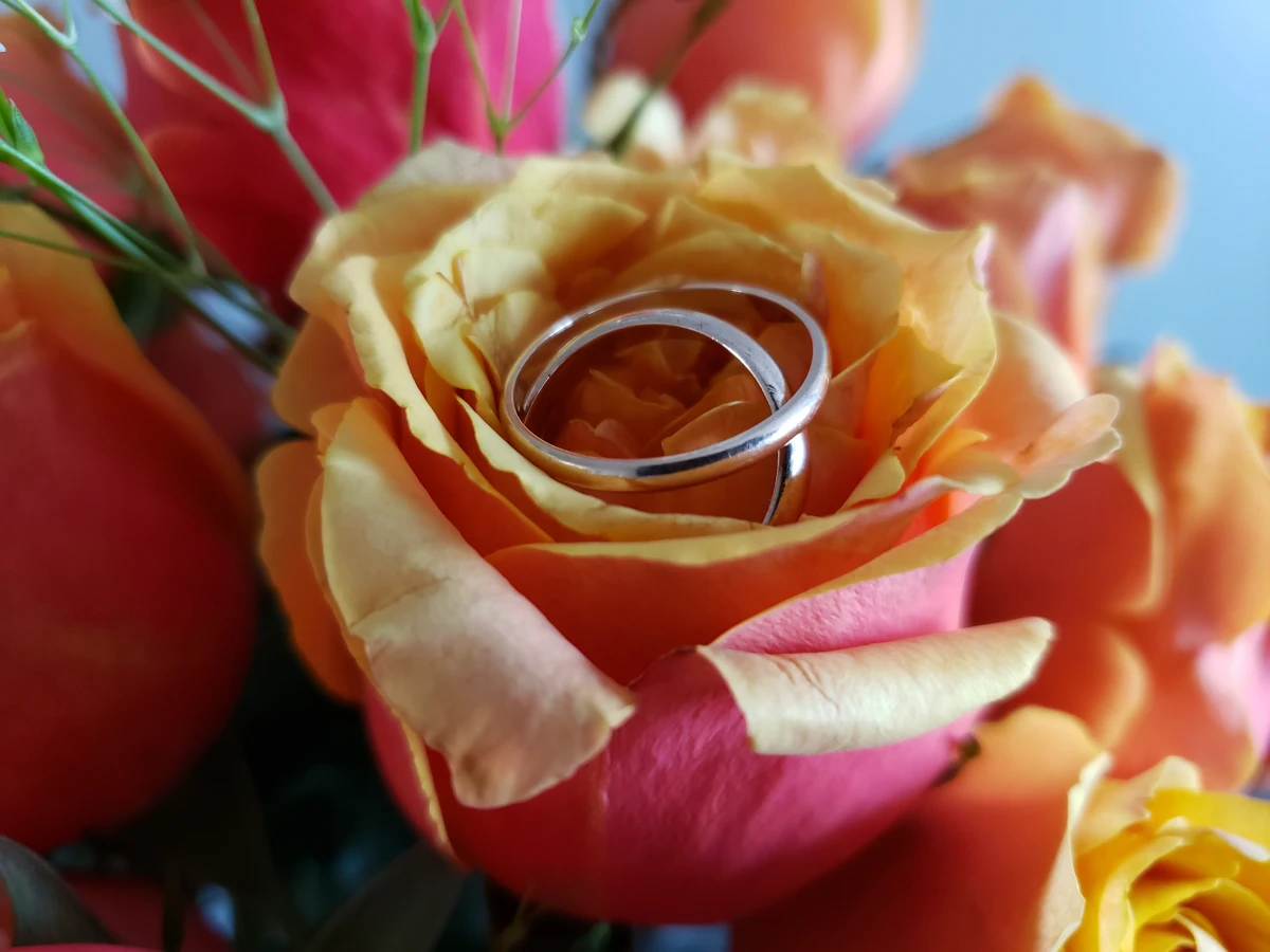 Les régimes matrimoniaux en France : comprendre et choisir le bon pour votre mariage
