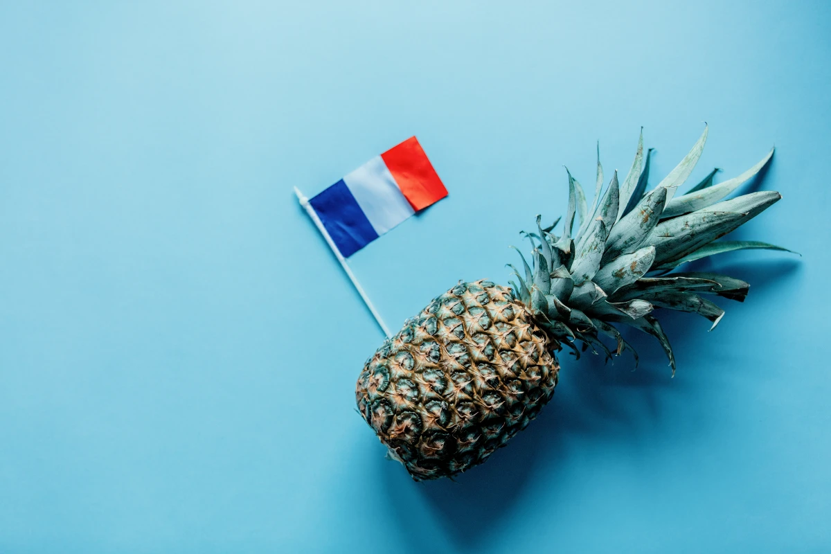 Procédures collectives en France : Un filet de sécurité pour les entreprises en difficulté