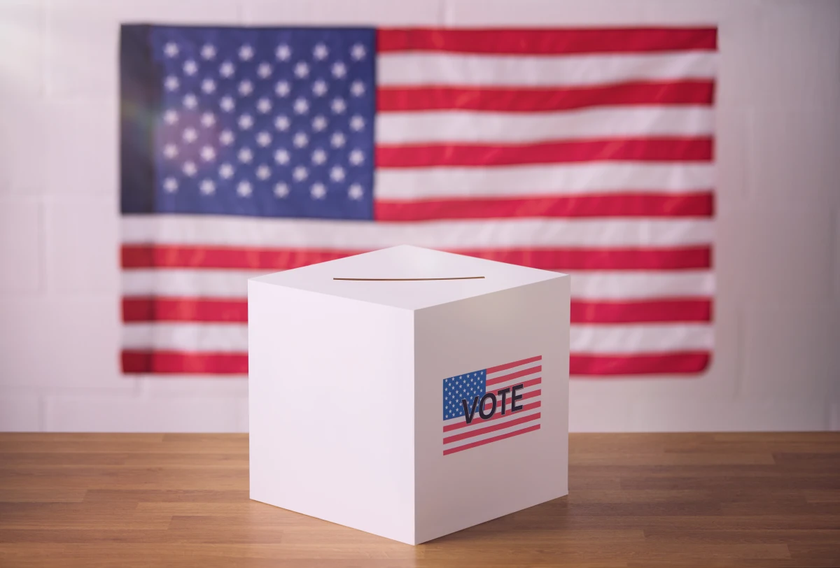 Études de cas révélatrices : les failles juridiques du vote électronique mises à nu